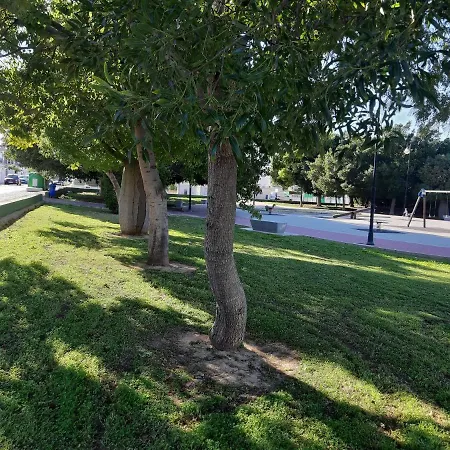 بيت للعطل Chalet Jardin Del Mar تورّيفيِخا